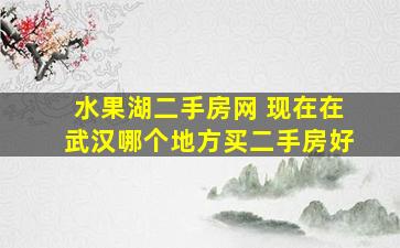 水果湖二手房网 现在在武汉哪个地方买二手房好